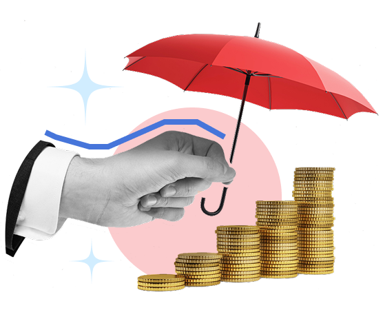 Insurance Explorer Image