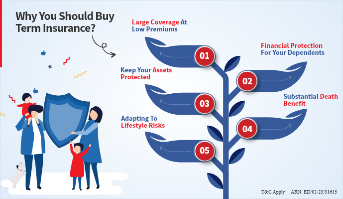 Image result for Sunbit: Simple Financing Solutions Explored infographics